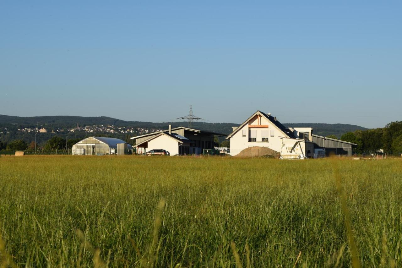 Einladende Ferienwohnung Auf Bauernhof In Зінциг Екстер'єр фото